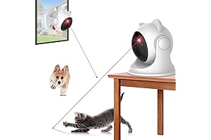 Interactive Dog Collar with Built-in Laser Pointer