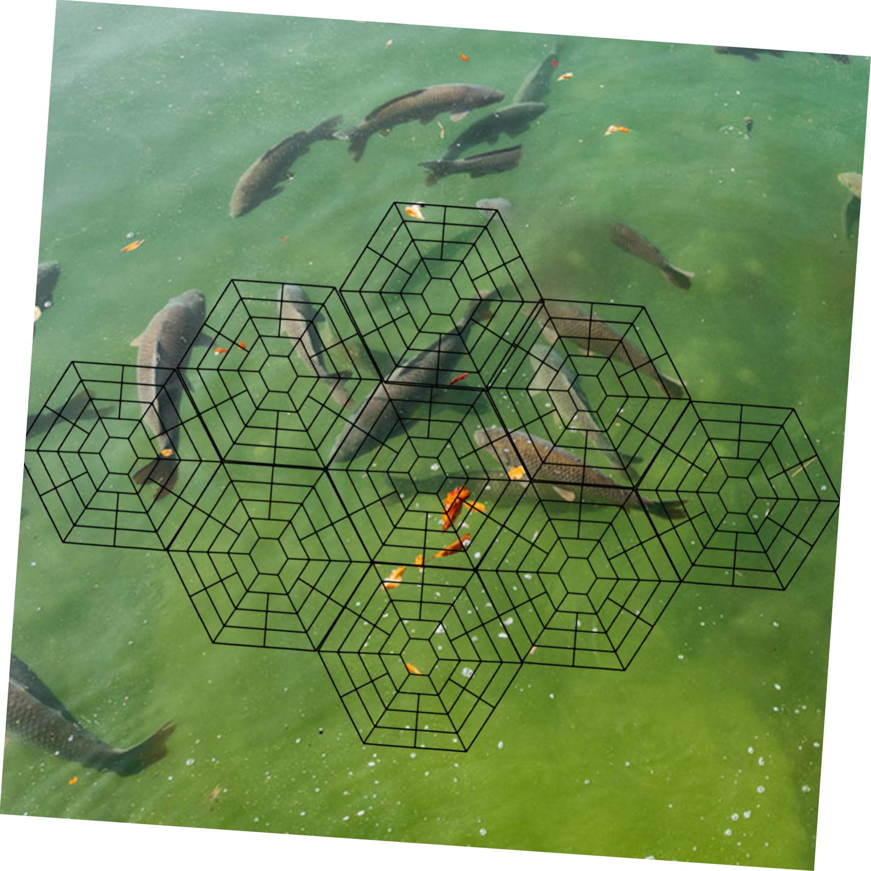 Abaodam 15 Piezas Protección para Estanques de Peces Flotante de Seguridad para Estanques al Aire Resistente y de Instalar para Peces de Depredadores y Escapes