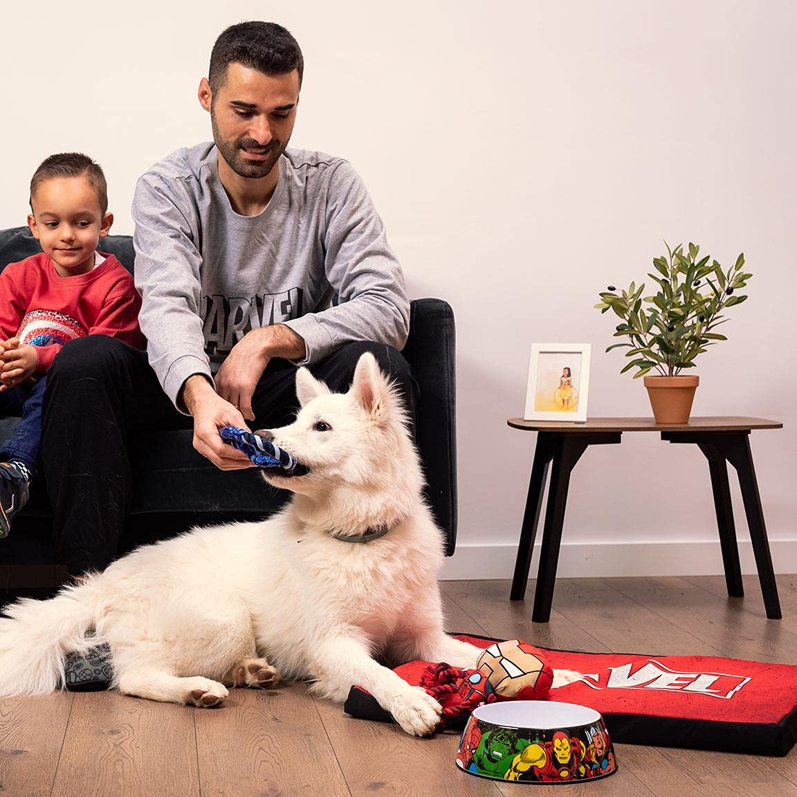 Materasso Per Cani Marvel Taglia M - 80x60cm, Imbottito, Copertura Lavabile, Design Supereroi - Foto 7