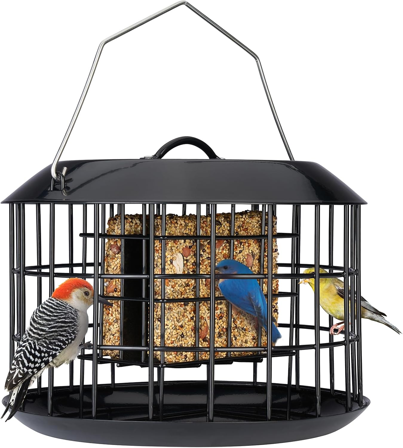 Kingsyard Recycled Plastic Suet Bird Feeder, Double Capacity Tail-Prop Suet Feeder for Outside Hanging + Kingsyard Squirrel Proof Suet Feeder, Cage Bird Feeders for Outdoors Hanging
