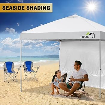 Amazon.com : Hisinly Canopy Sidewalls 10 * 10 ft 300D
