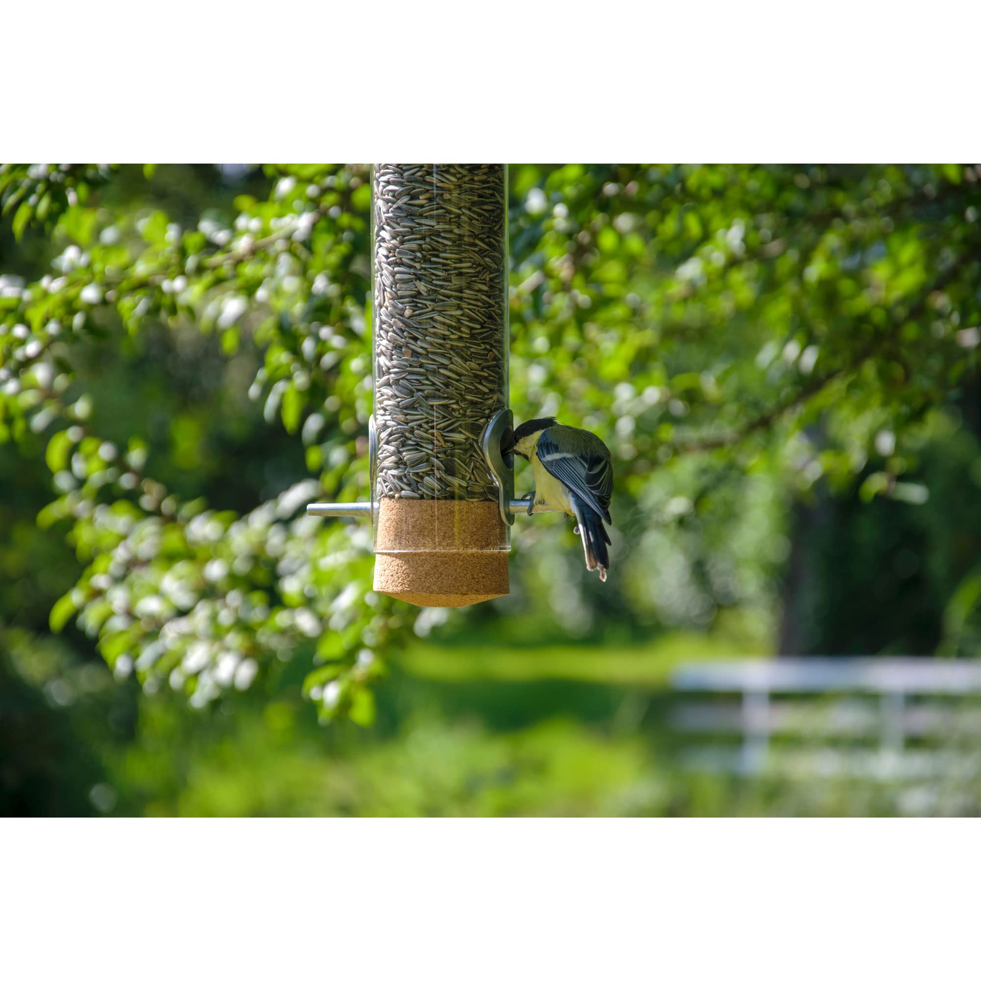 dobar® Premium Design Vogelfuttersäule Echtglas-Pickbar - Futterspender zum Hängen - Wildvogelfutterautomat mit Lederkordel - Futterstation für Wildvögel - Ø 9 x 33 cm - Transparent
