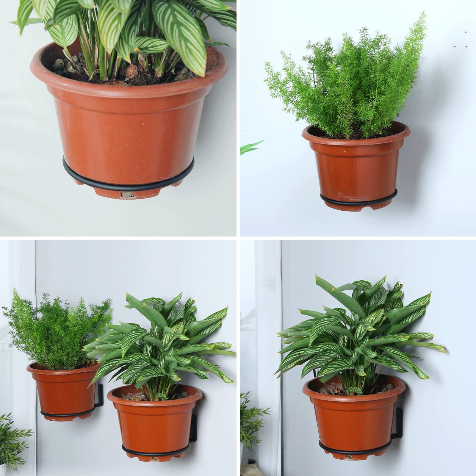 5 Pièces Anneau de Support de Pot de Fleur Support de Jardinière Mural Diamètre Intérieur 9cm Porte-Pot Mural en Métal pour Interieur Extérieur Terrasse Balcon Jardin (Noir)