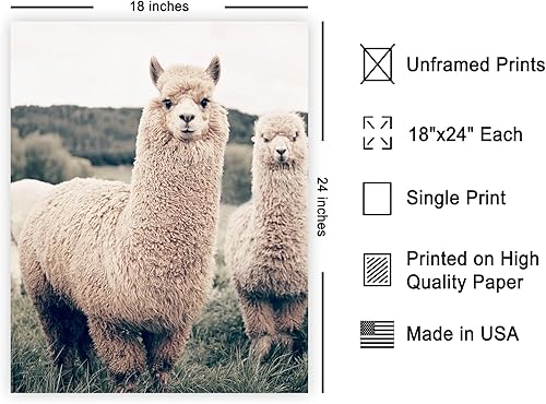Vista 38 de Poster Master Póster de alpaca – Impresión de alpacas en pastizales – Arte de fotografía – Regalo para hombres, mujeres y amantes de los animales