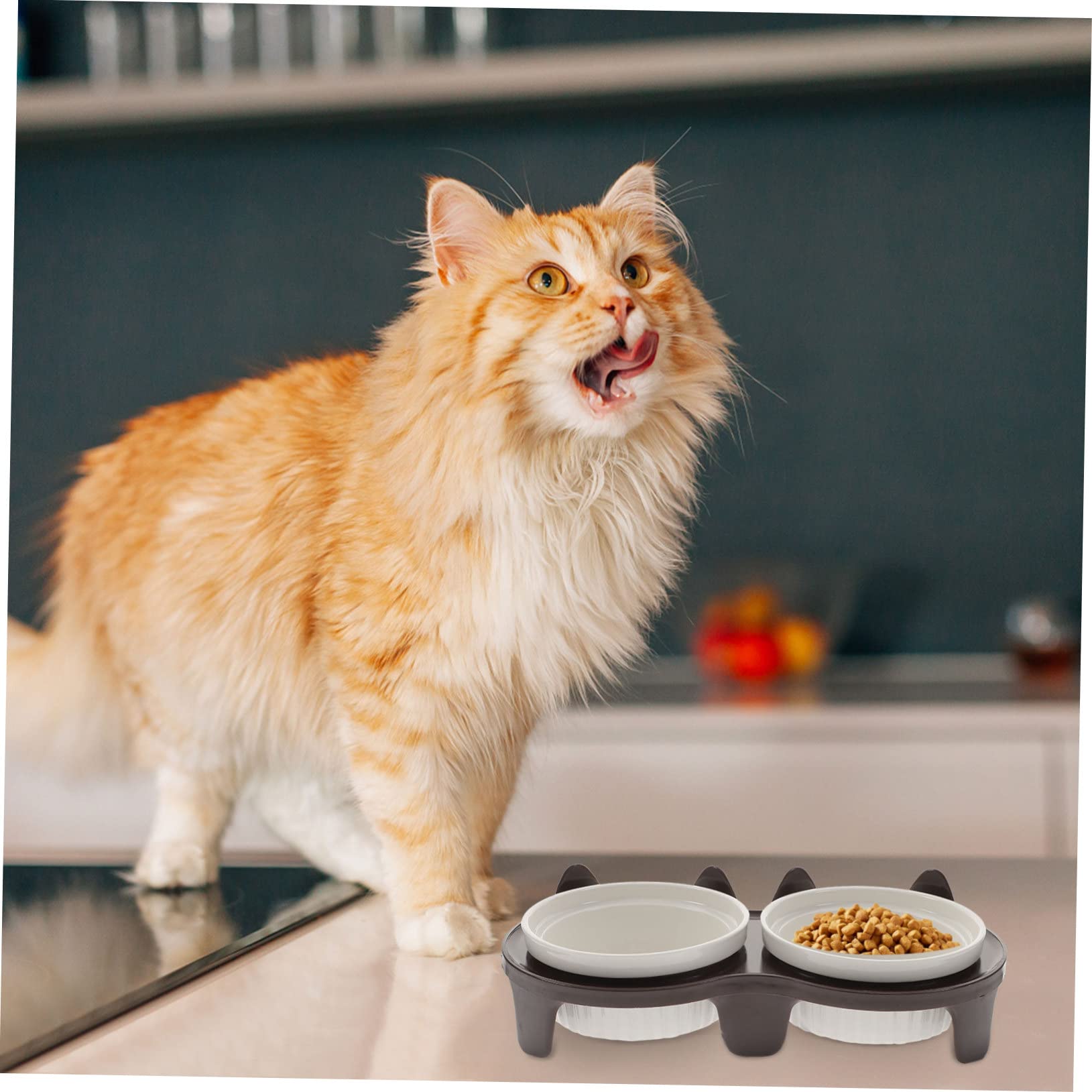 UKCOCO Gamelle pour Chat Céramique Antidérapante Pratique pour Nourrir Chat et Chaton avec Support Solide et Facile à Nettoyer