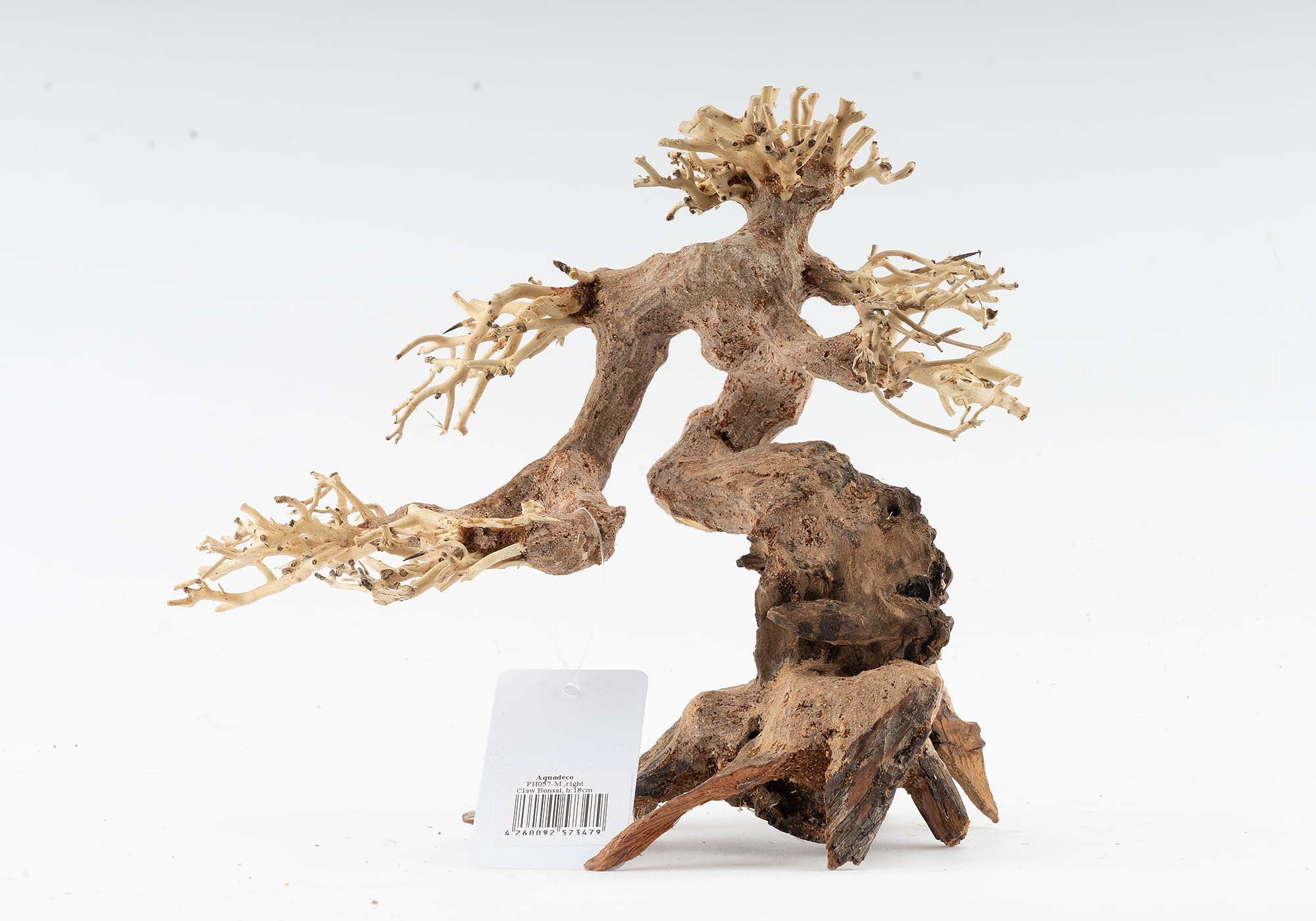 NatureHolic Bonsái forestal | Raíz de madera real | Decoración de acuario de madera | Para acuario y terrario | Tamaño: M
