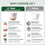 T4U Self Watering Pots 5 Pack (6/8/9/10/12 Inch), Planters with Water Level Window and Wick Rope for Busy People, Heavy Duty Floor Pot for Herbs to Large Monstera Tree, Indoor Outdoor Decor(White) | Visible water level window, Herbs pothos and large