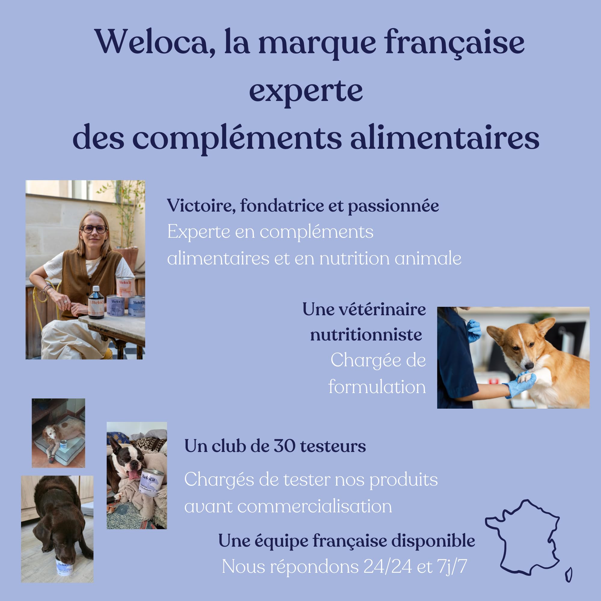 Arthrose Chien | 120 compléments Premium | 11 Actifs puissants hautement dosés (Moule Verte, harpagophytum, chondroïne, Glucosamine) | Anti-arthrose, mobilité retrouvée | Formule vétérinaire
