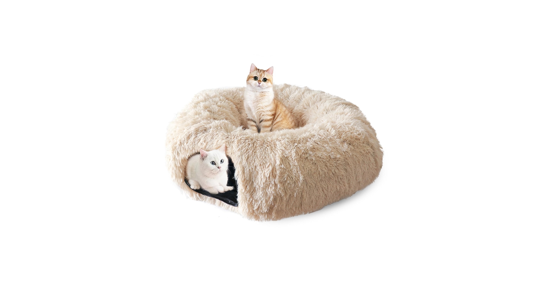 Cat Donut Tunnel Odoland Large Cat Tunnel With Plush Bed Multifunctional Foldable Cattasaurus Peekaboo Cat Cave