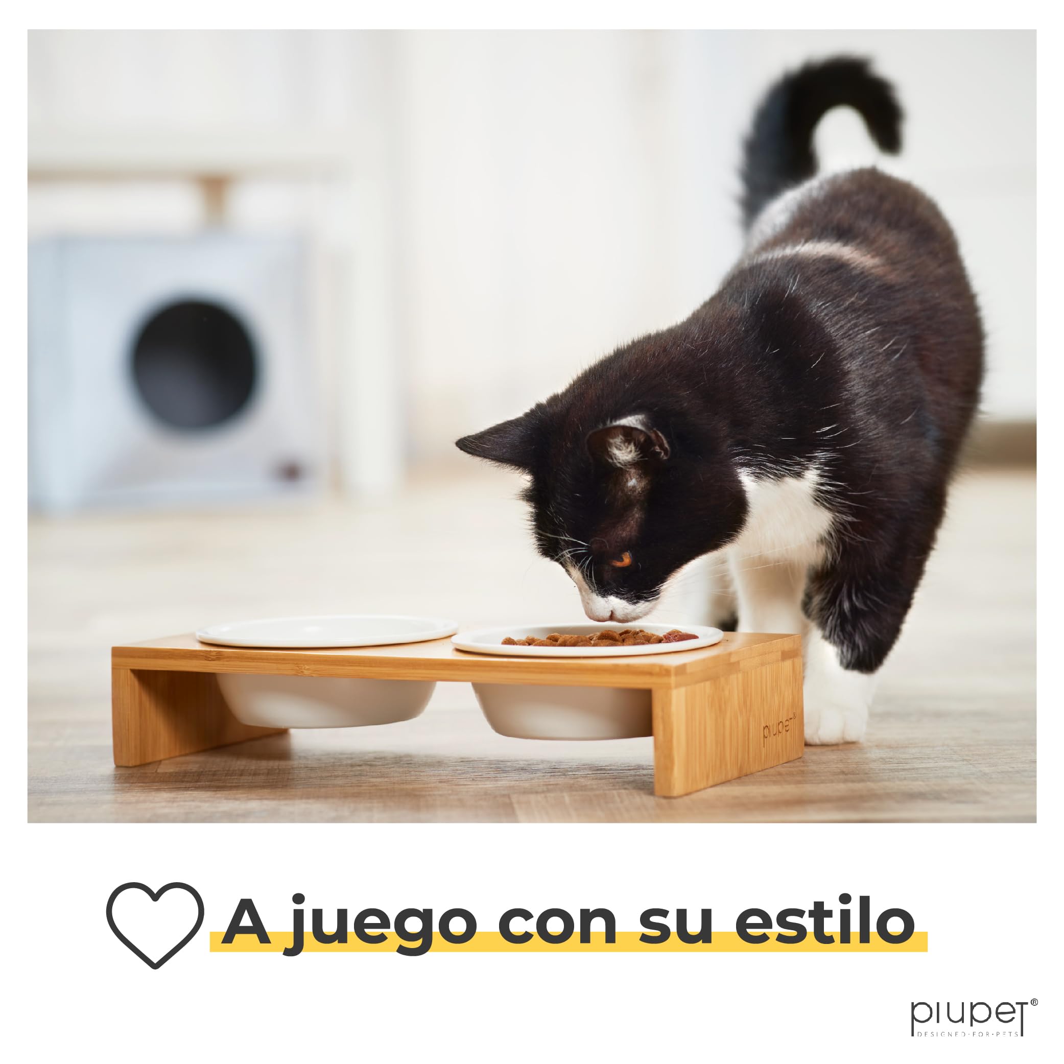 PiuPet® Comedero Gatos y Perros pequeños I 250ml I Apto para lavavajillas I Elevado I Cuenco /Bebedero I 2 Cuencos