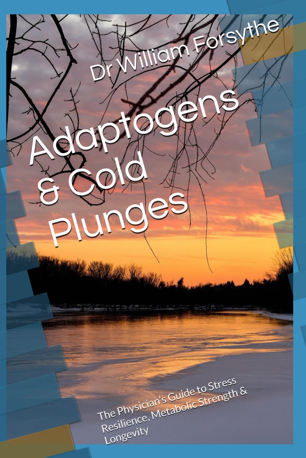 Adaptogens & Cold Plunges: The Physician’s Guide to Stress Resilience, Metabolic Strength & Longevity