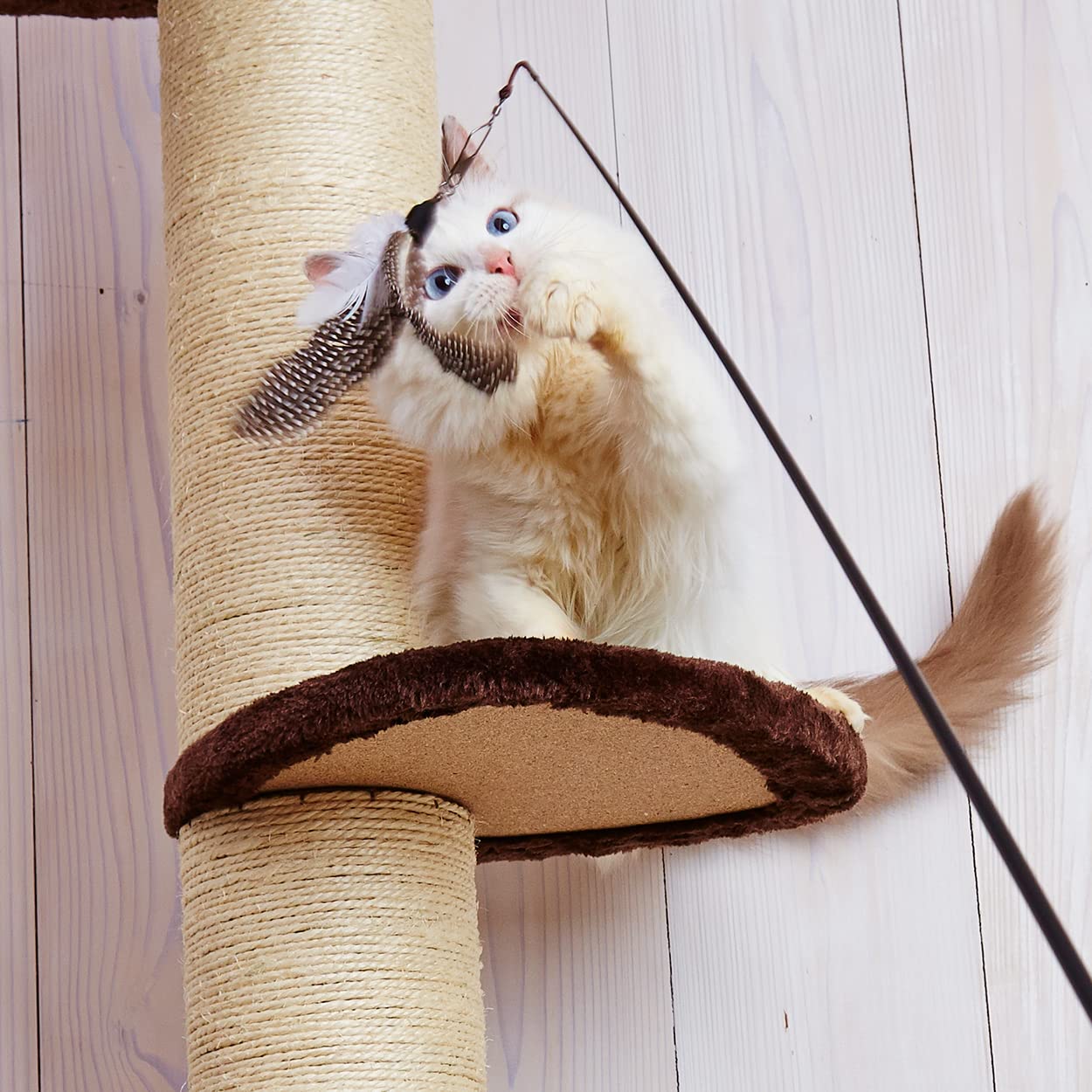 Amazon | ペティオ(Petio) 猫用おもちゃ 釣り好きにゃんぺい 伝説の猫