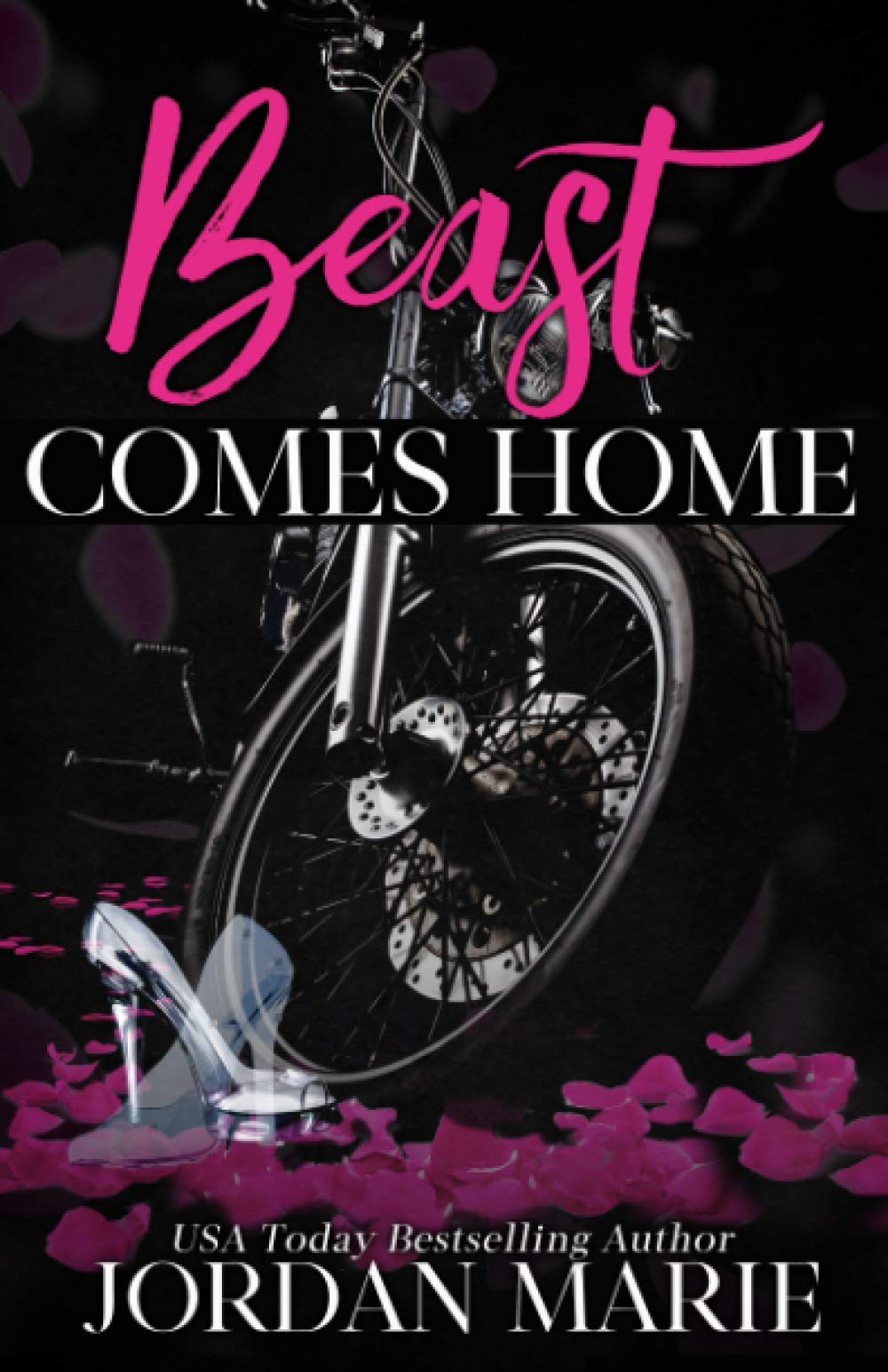 Beast Comes Home: 9 (Devil's Blaze MC)