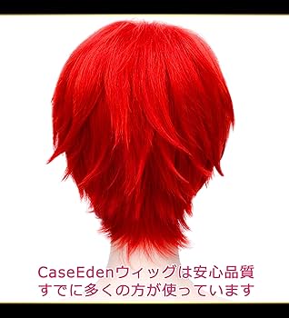 【送料込み】新品未開封カットウィッグ 3点セット 71X4mupKZRL._AC_UL210_SR210,