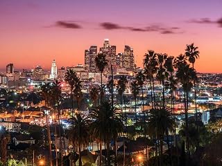 7x5ft Sunset Los Angeles Downtown Skyline Palm Trees Photography Backgrounds Vinyl Cloth Computer Print Wall Backdrop