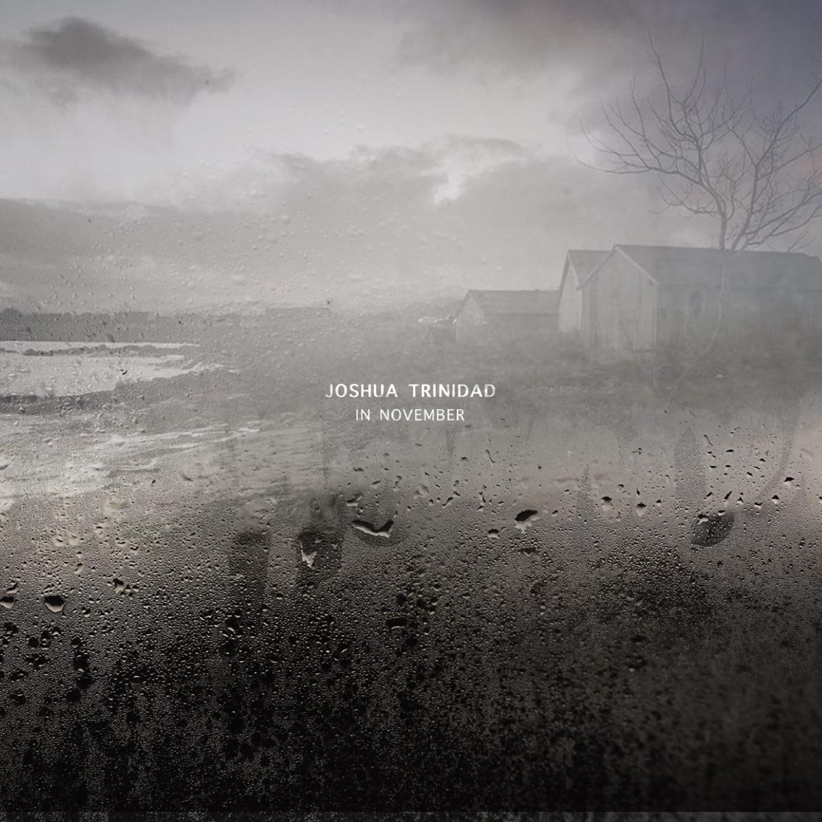 In November [VINYL]