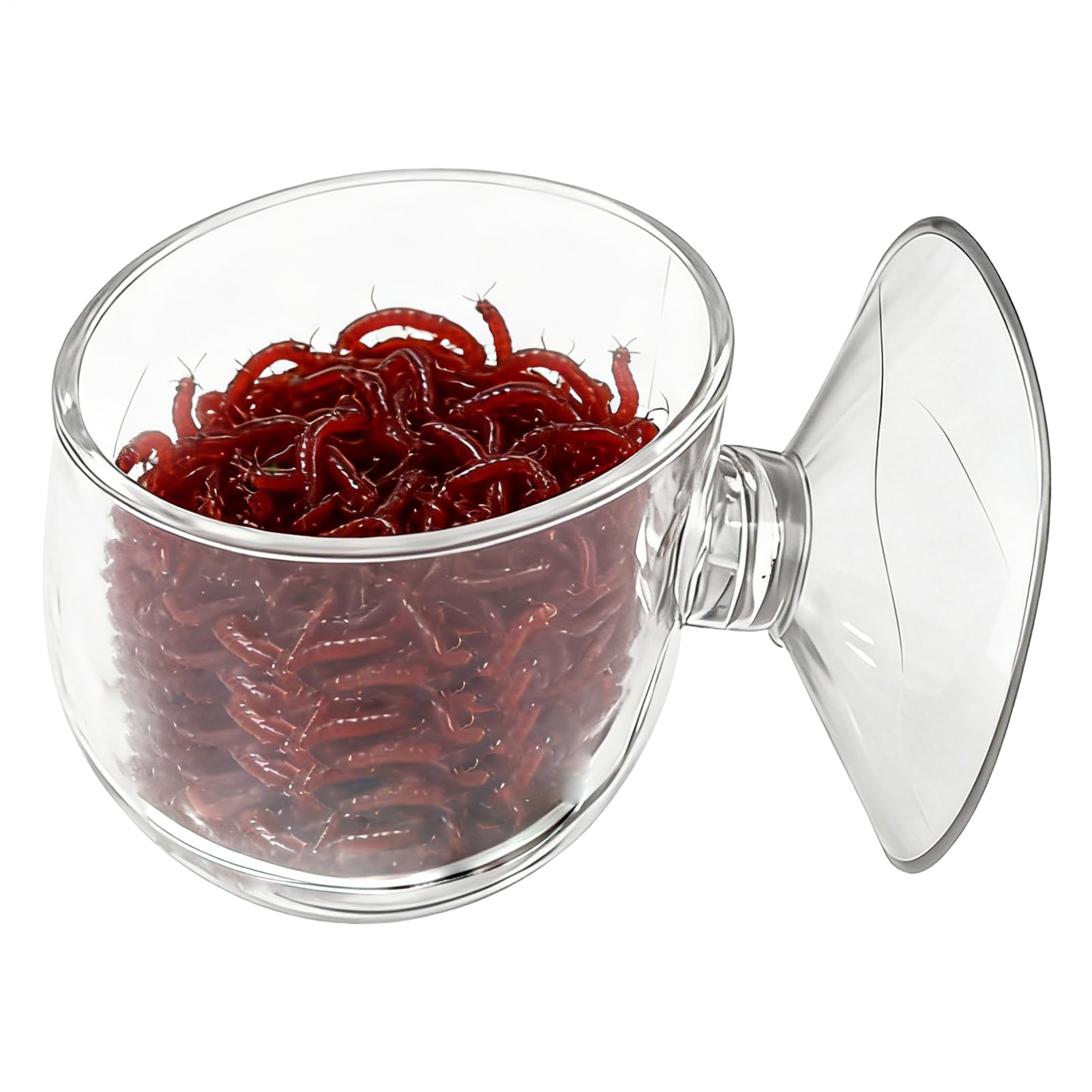 Aquarium Feeding Dish | Clear Acrylic Fish Food Bowl With Suction Cup | For Tank Reptile Bloodworms, Shrimp, Live Food