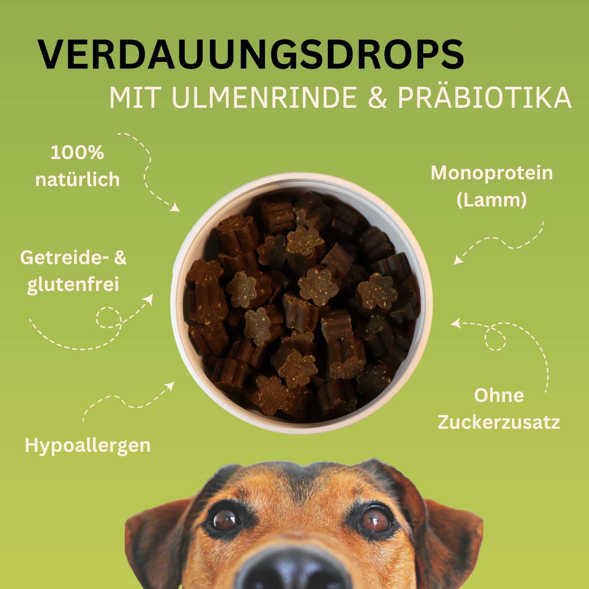 Verdauungs-Drops für Hunde mit Ulmenrinde I Für Normale Verdauung & Kotbeschaffenheit I Unterstützt Darmflora I I Mit Präbiotika & natürlich I ca. 120 STK.