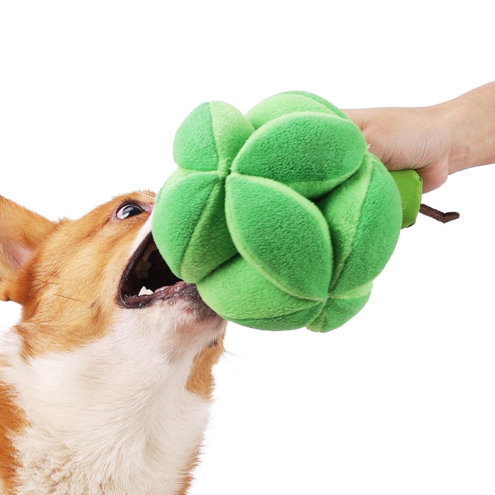 Voiakiu Broccoli Dog Treat Toy | Cute Broccoli Treat Ball Safe for Pets to Lick or Sniffle | Treat Dispensing Dog Snuffle Treat Toy for Puppies, Medium