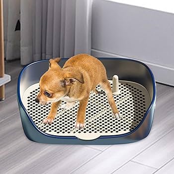 水で洗い流すトイレトレー 水で洗い流すトイレトレー