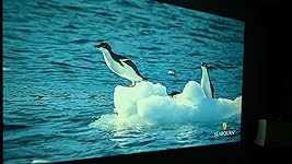 Review Image by Mateo Sanabria