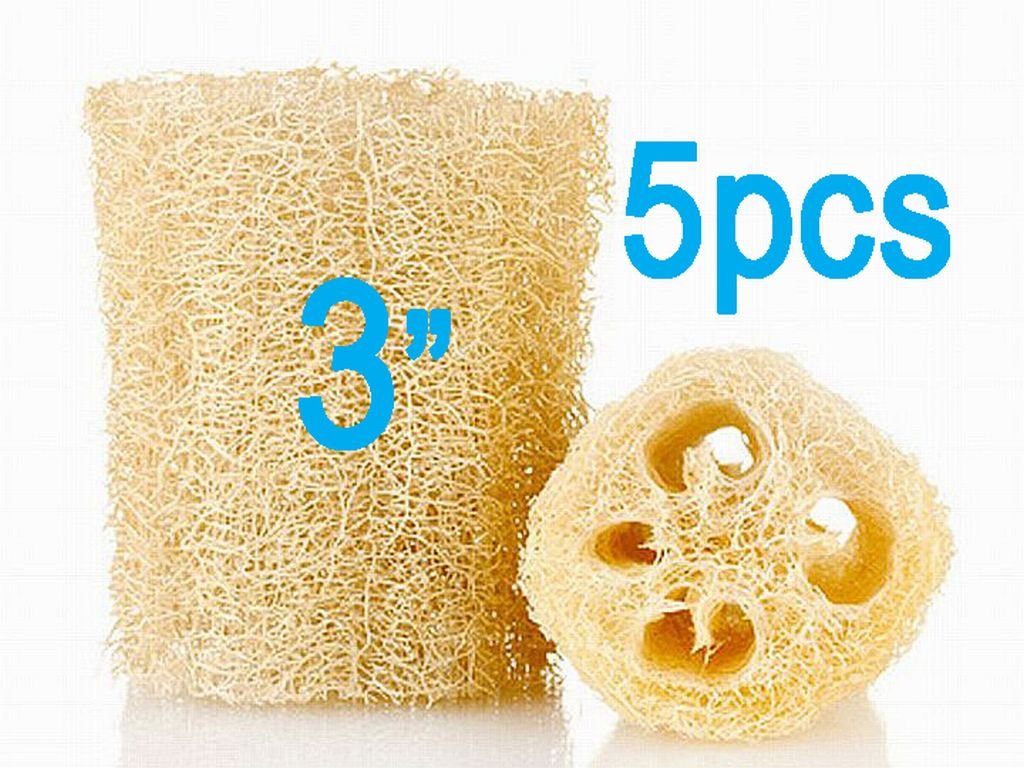 3" Natural Loofah Lot of 5 (Five) Loofah Sponges. All Natural Loofah Is Great for