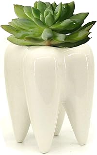 Ceramic Tooth Shaped Pen Pencil Toothbrush Holder Pot Succulent Plant Pot Home Office School Dentists Gift Ideal Gifts for Women, Mom or Birthdays