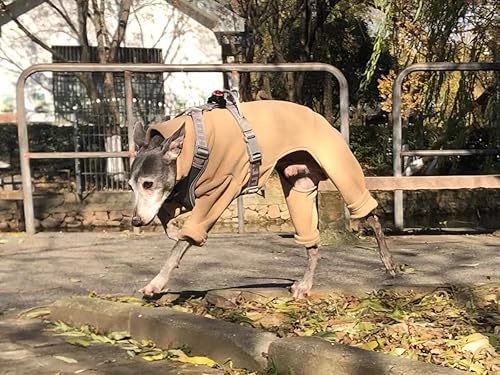 Miniatura 8 de Greyhound Clothes - Overol de invierno para perro, cálido de cuello alto, overol de cuatro patas, sudadera de manga larga, abrigo al aire libre para
