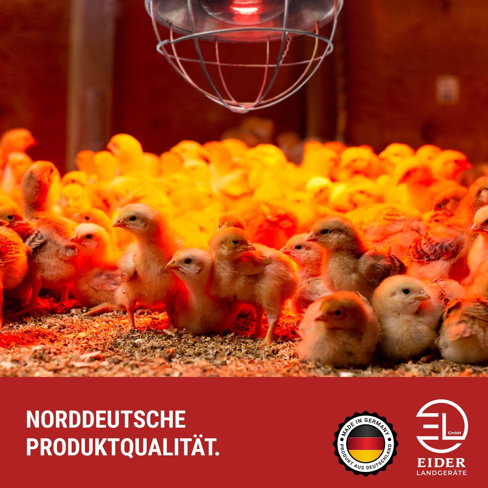 Eider, dispositivo di getto di calore a infrarossicon lampadina (lampadina da 150 W già inclusa), lampada riscaldante per animali
