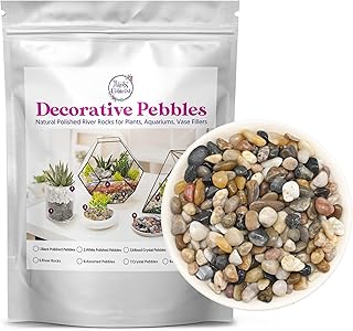 Sponsored Ad - Natural River Rocks (2 LB), Small Decorative Rock Stones for Succulents Cactus Bonsai Houseplants, Perfect ...