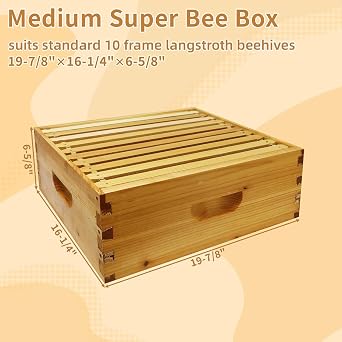 10 Frame Langstroth Bee Hive Beeswax Coated Includes Beehive Frames and Foundations (2 Deep Boxes & 2 Medium Boxes)