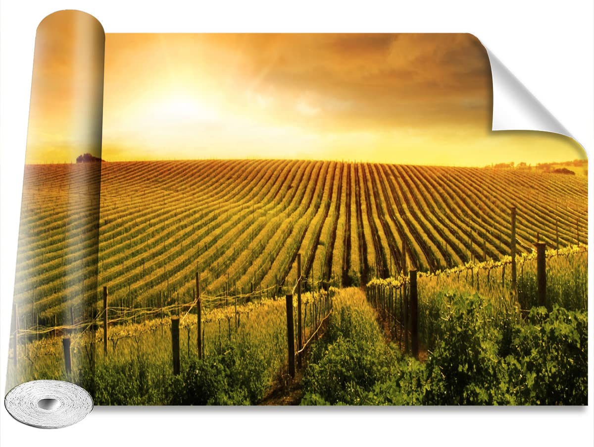 Stickers Muraux Camouflage Vignoble Décoration Murale 104x70cm
