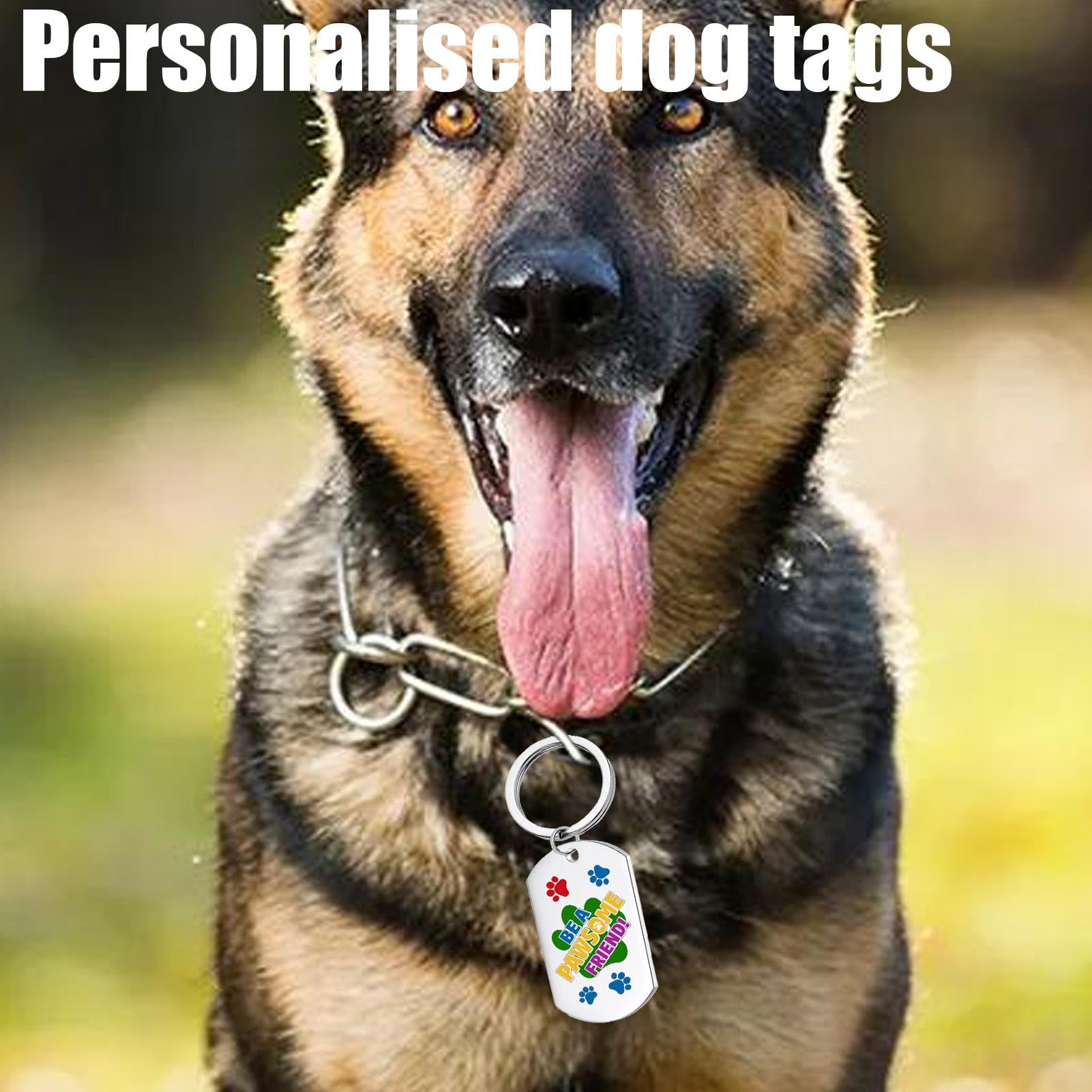Targhette identificative per animali, Targhette per cani personalizzate