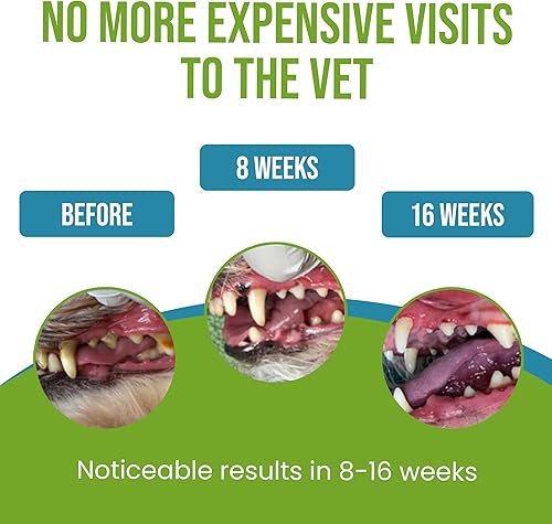 Miniatura 3 de Algas Caniclean para dientes de perros, herramienta de eliminación de sarro de perro, removedor de placa y ambientador de aliento, elimina la placa