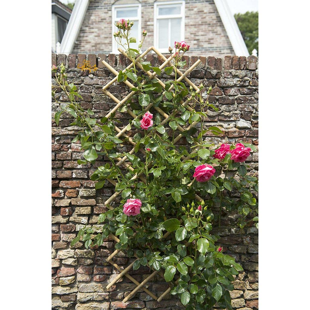 Bambus Garten-Rankgitter Rankhilfe Zaun Garten Spalier Breitenverstellbar  Rankzaun Pflanzengitter Gartendeko Ldeal fr Klematis Weinreben  Kletterrosen 100 x 200 cm : Amazon.de: Garten