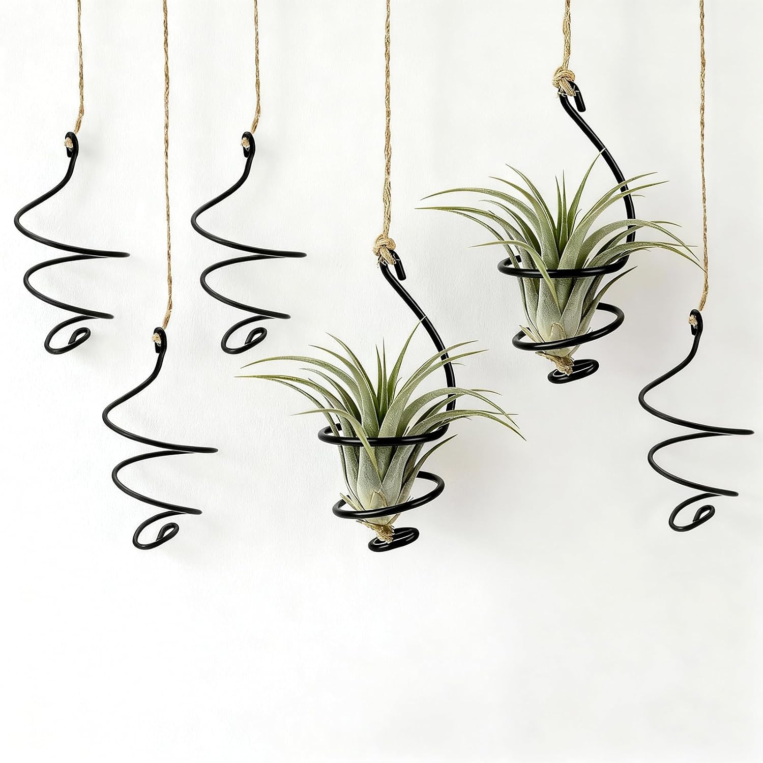 6 Pcs Hanging Air Plant Holders with Jute Ropes, Soilless Air Plant Stand Adjustable Rust-Resistant Iron Rings for Home Office Decor