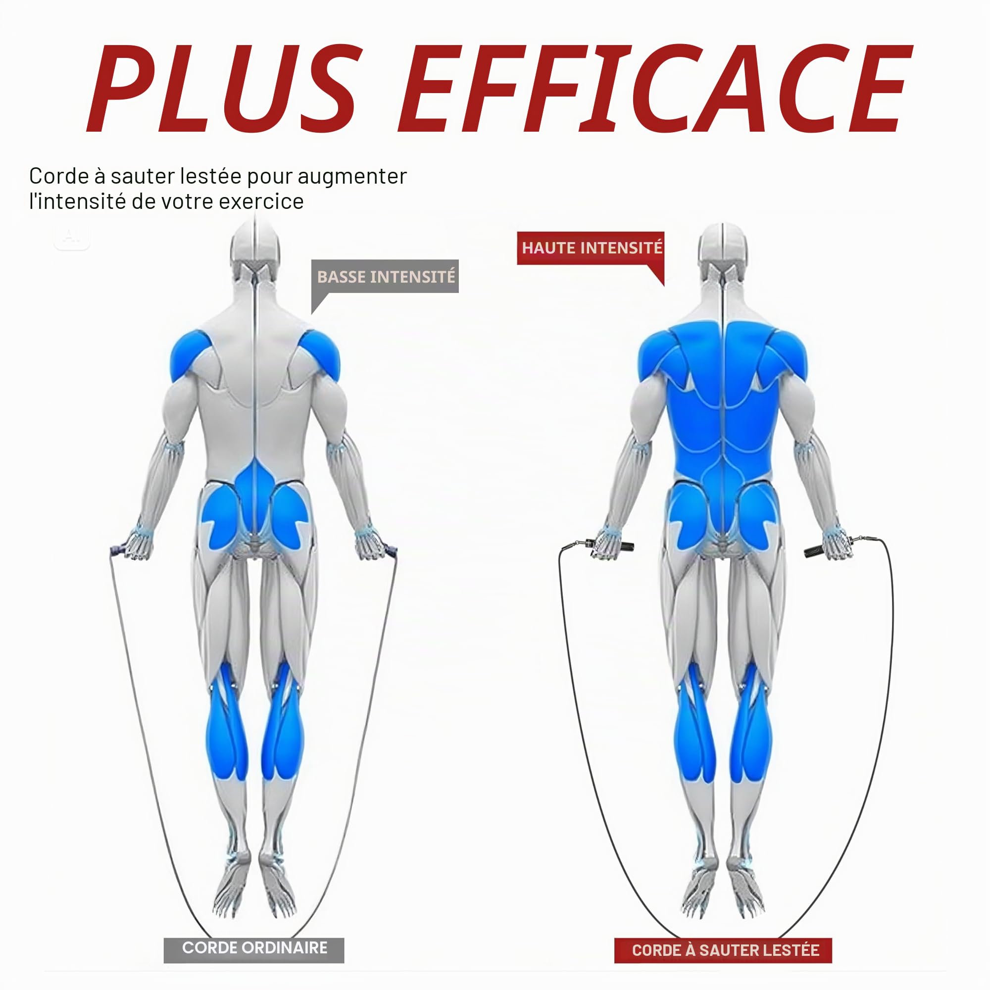 Corde à sauter lestée pour homme et femme – Interchangeable 0,9 kg, 0,9 kg – Rotation à 360 degrés – Longueur réglable, poignée ergonomique en cuir pour perte de poids et plus encore