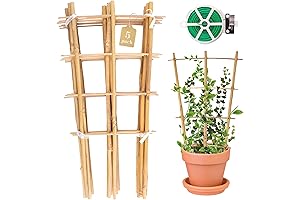 Bamboo Trellis for Climbing Roses Plants