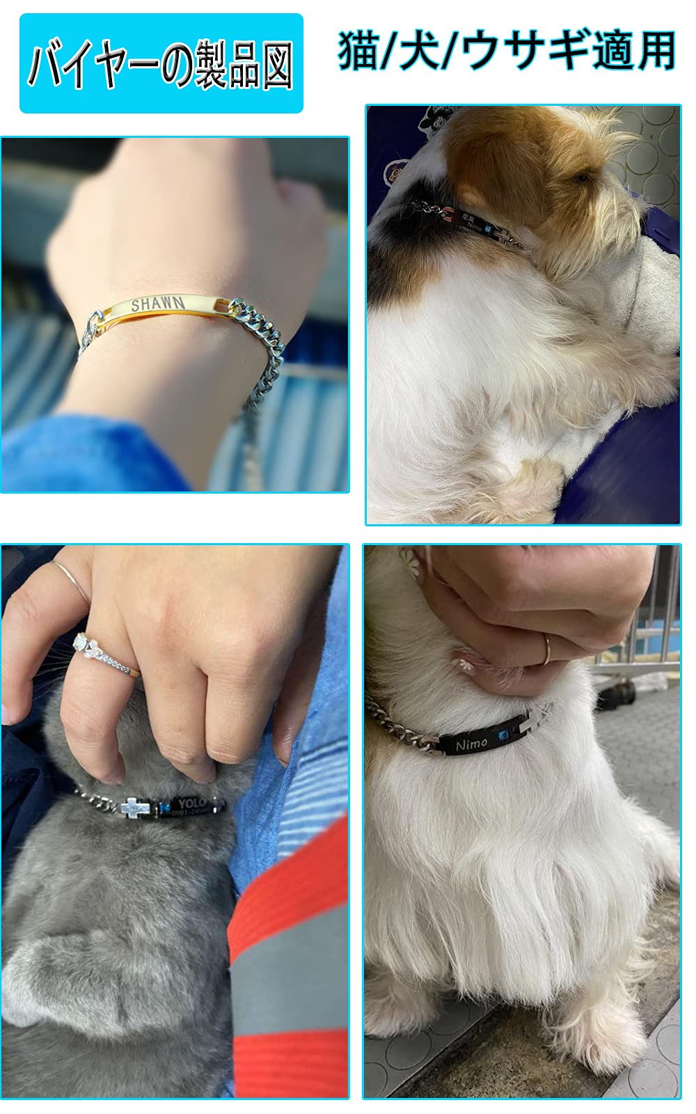 Amazon.co.jp: Z23Z Dog Collar, Titanium Steel, Lost Tag, Puppies