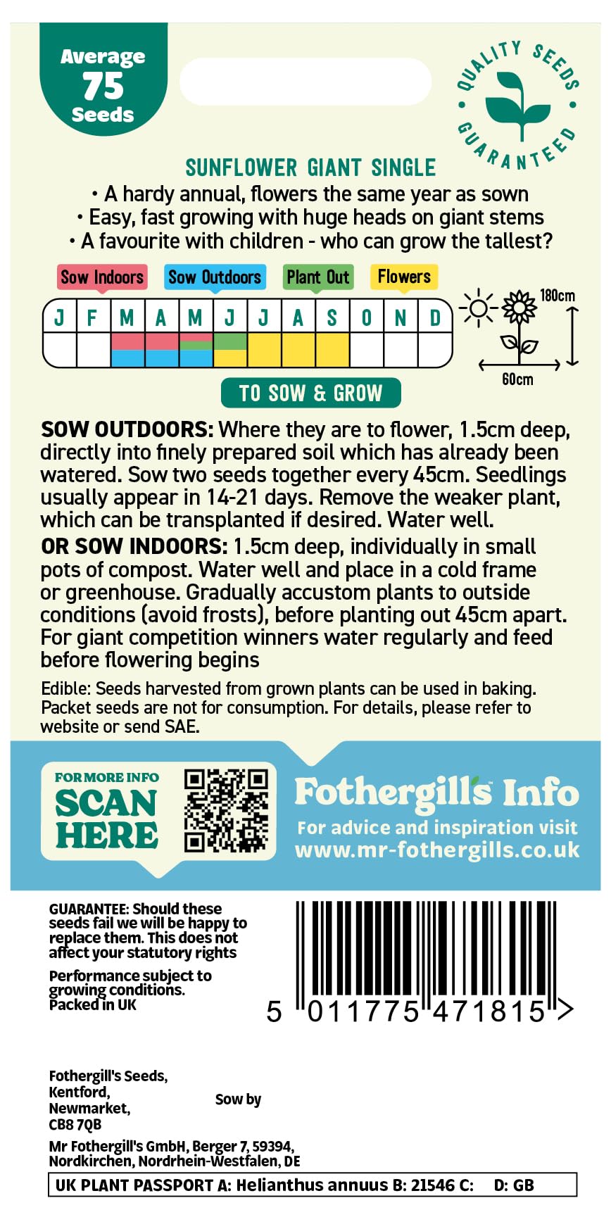 Fothergill's Sunflower Giant Single Flower Seeds, 75 Seeds, Helianthus Annuus, Yellow — view 2
