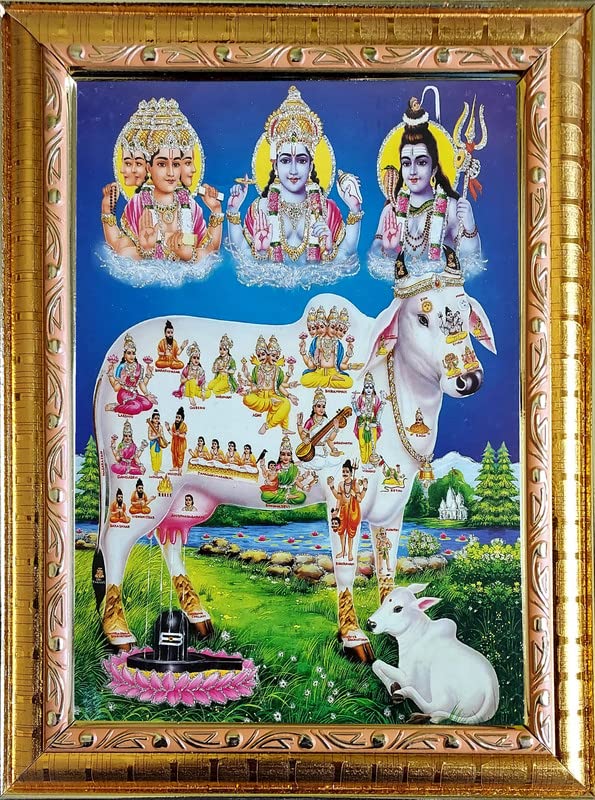 Kamdhenu Cow with Brahma Vishnu Mahesh Religious Photo Frame|Sparkling Shining Zari Print|Golden Frame without Glass|Frame for Living Room,Gift,Temple,Pooja Room,Home Décor|Size(10 x 12.5)