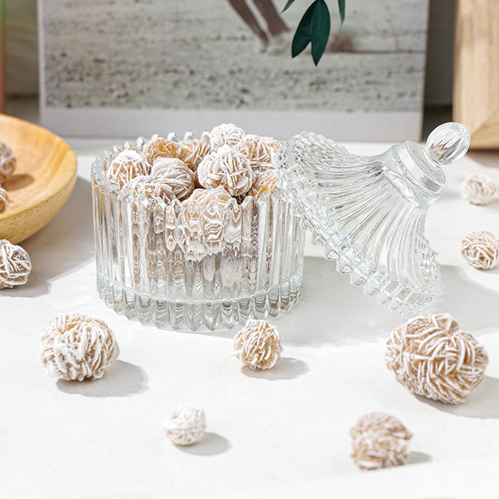 Amazon.co.jp: 10個 デザートローズ デザートローズクラスター 未加工