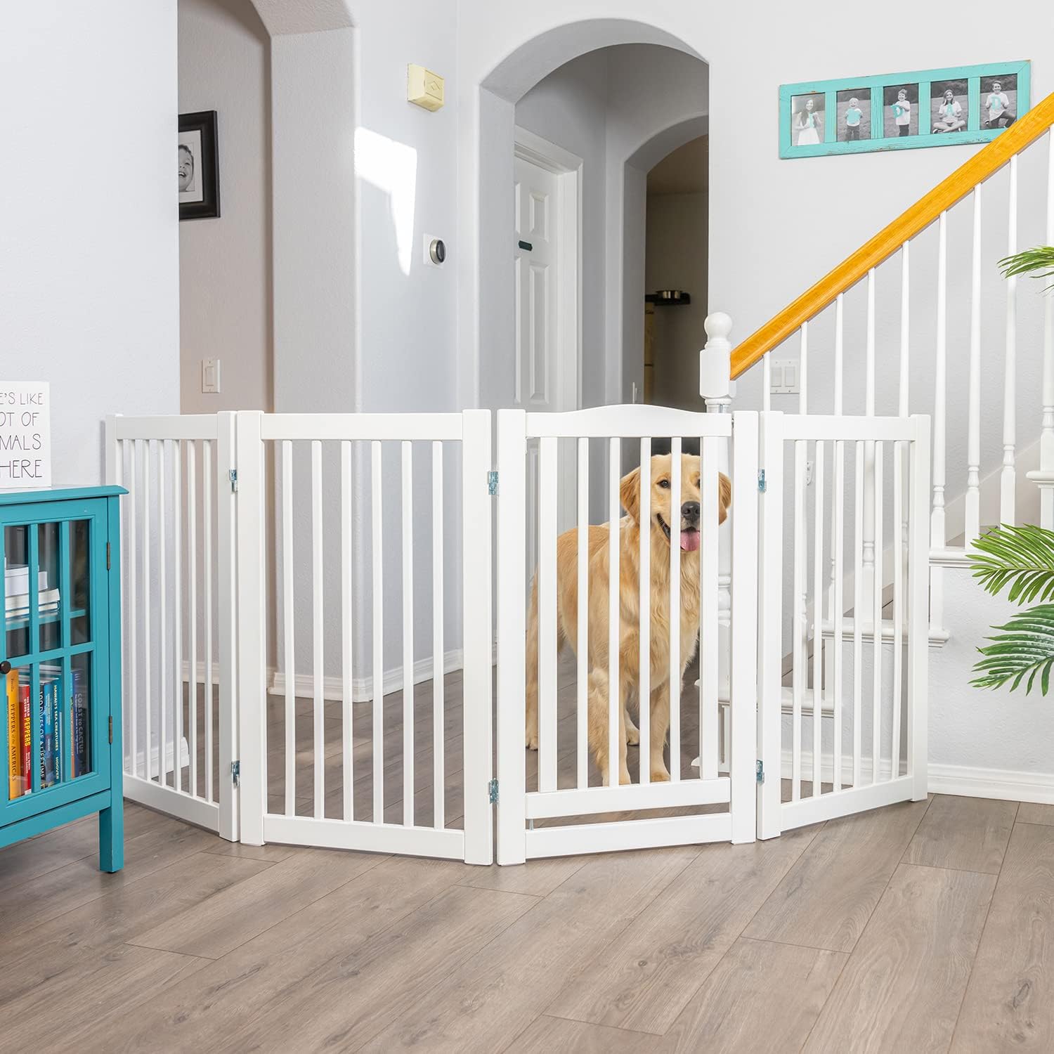 Primetime Petz 360 Configurable Freestanding Dog Gate with Door for Home,White 36 White