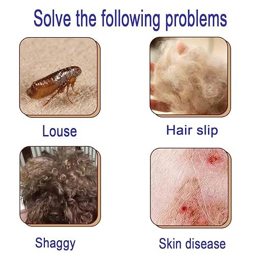 Miniatura 4 de Peine antipulgas 4 piezas verde jade con dientes de alta resistencia para eliminar manchas de lágrimas para mascotas, juego de aseo para perros y