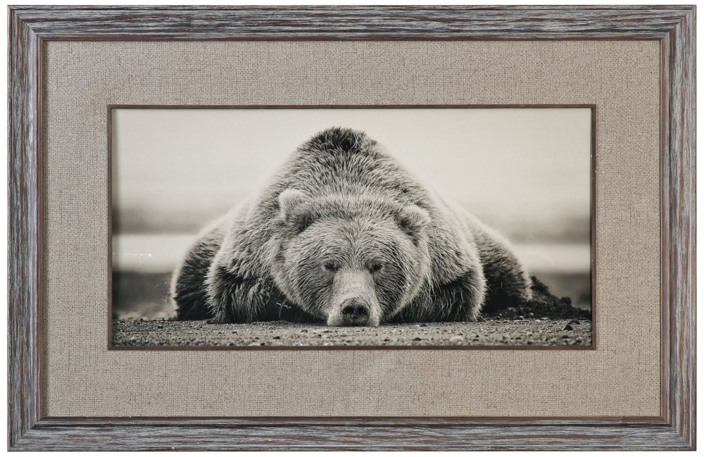 Uttermost Deep Sleep - 50.13 inch Bear Print - 50.13 inches wide by 1.13 inches deep