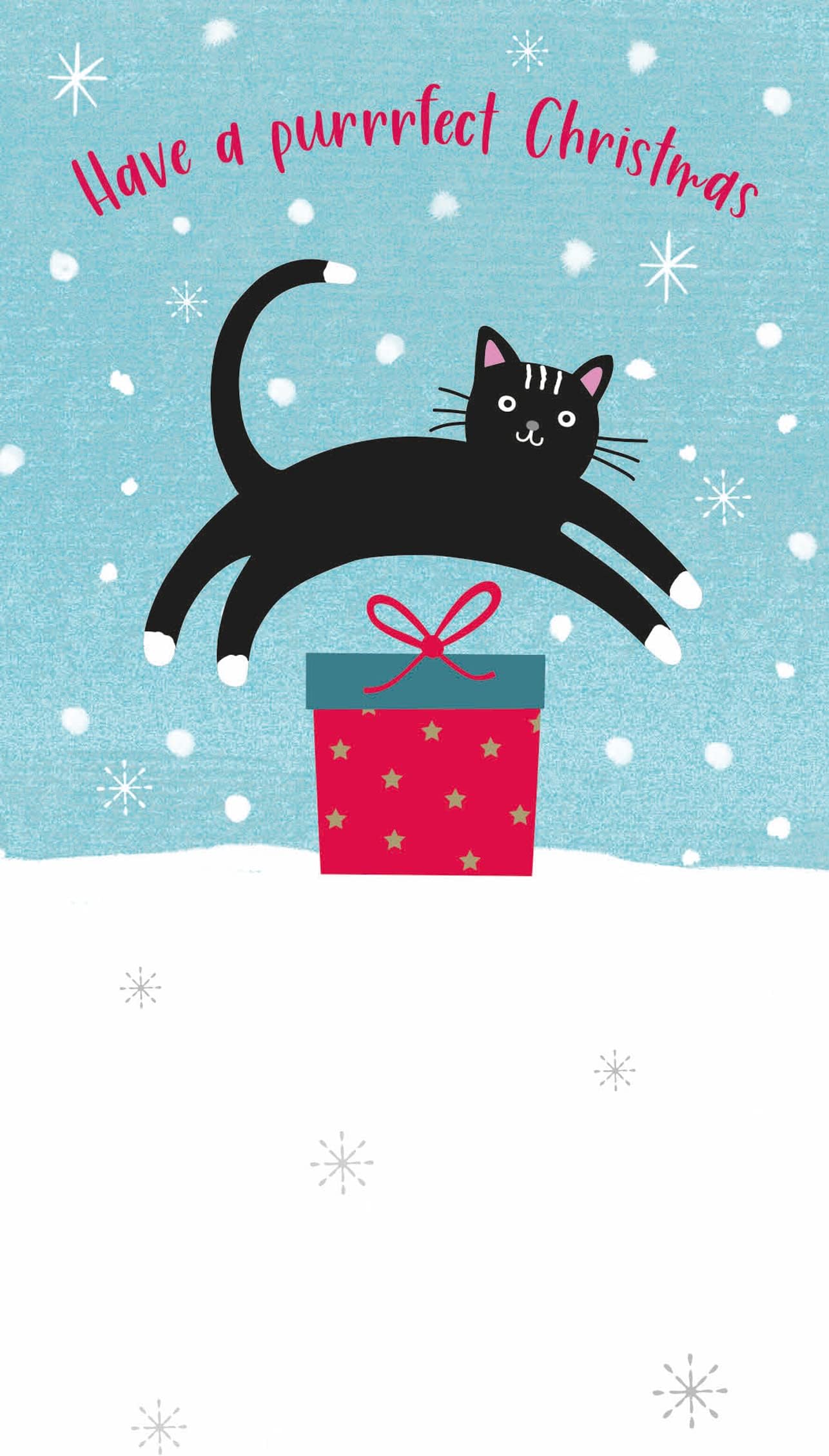Quay side Cards Christmas Card (Single) - Money Wallet - Cat