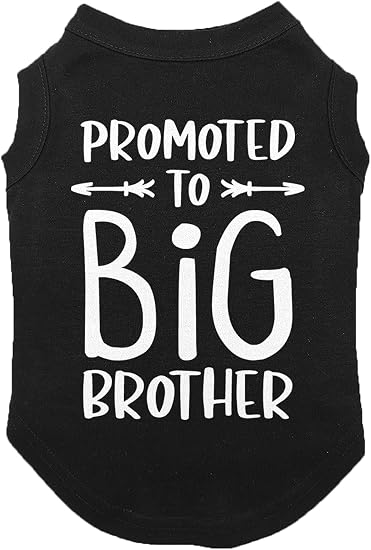 Big Brother - Dog Shirt 