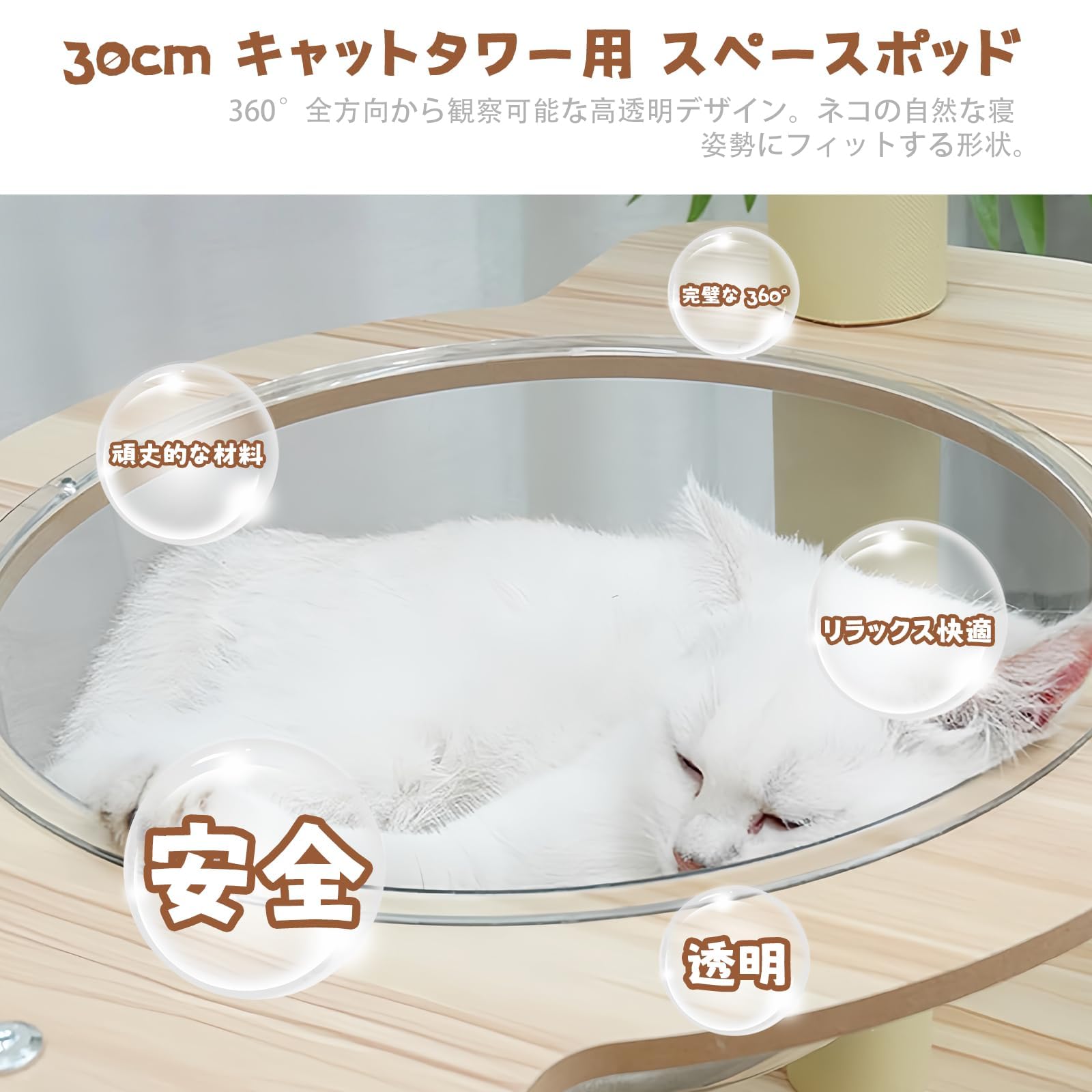 Amazon | NODIBRO キャットタワー 木製 多頭飼い 透明のスペース