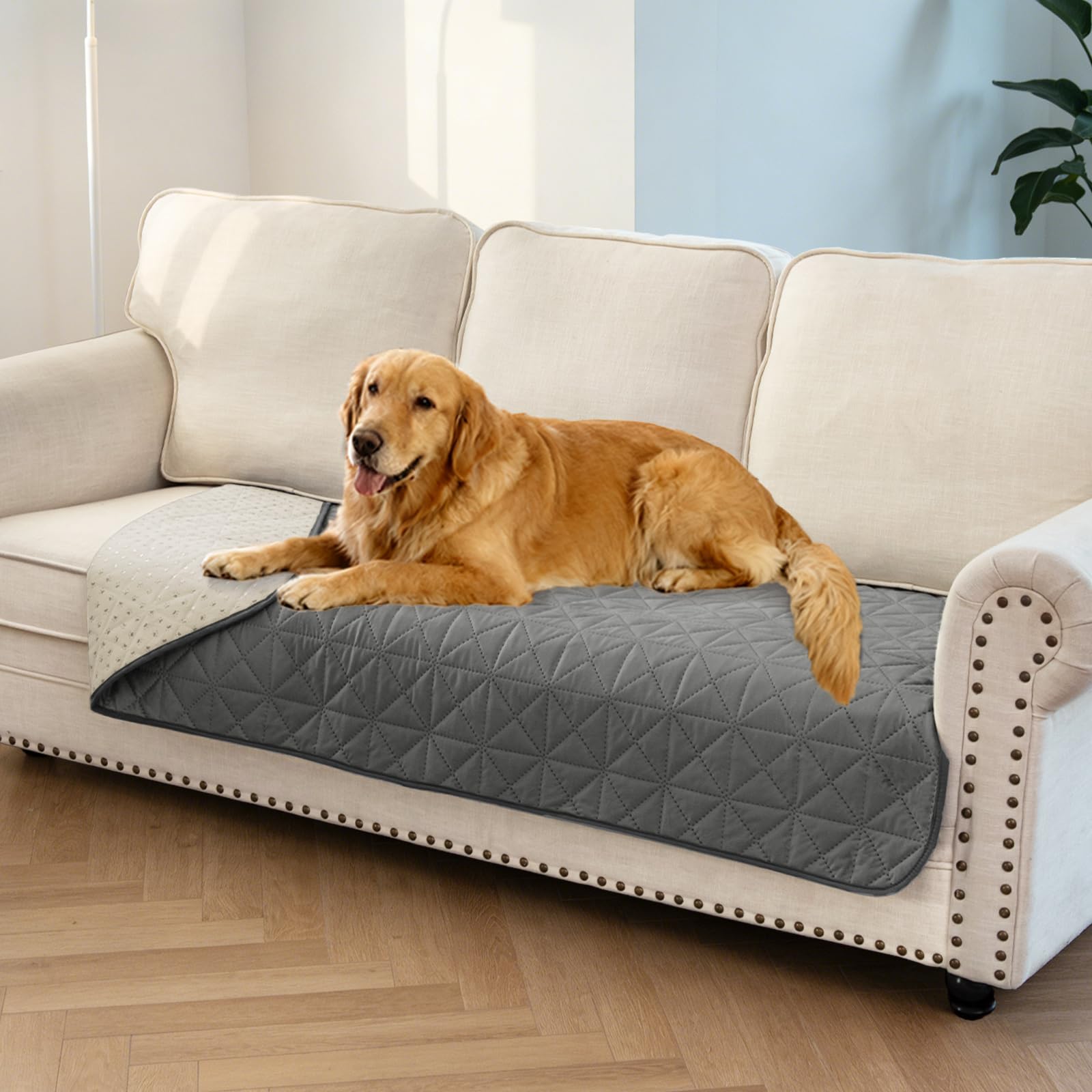 Photo 1 of Ameritex Sofa Cover Waterproof for Seats Couch Cover for Dogs Pet Couch Cover Velvet for Chair Loveseat Sofa Machine Washable