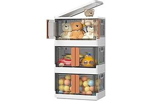 Closet Organizers and Storage - Trunk Car Organizer with Lids and Doors